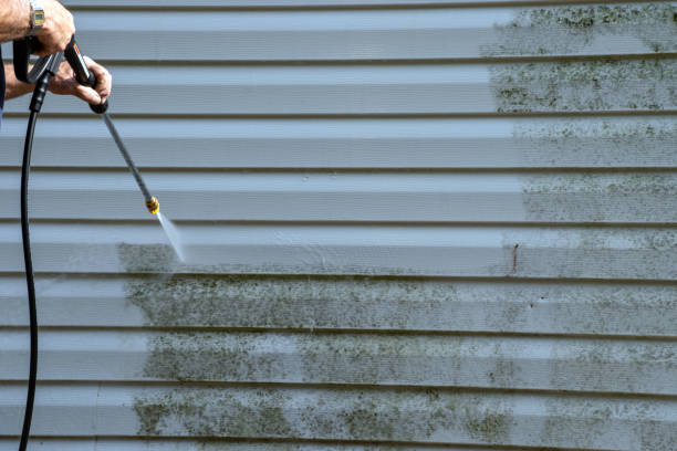 Affordable Siding Repair and Maintenance Services in Vero Beach, FL